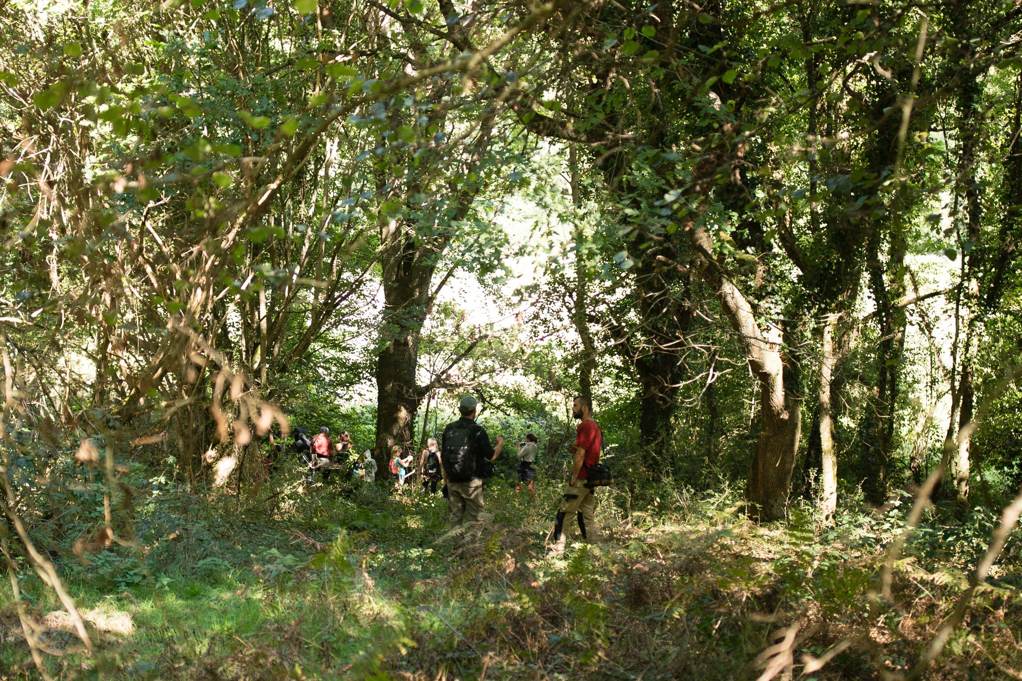 "Un dimanche en bois" avec Chers Woods