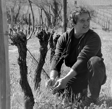 L'invité du marché : Norbert Depaire, vigneron