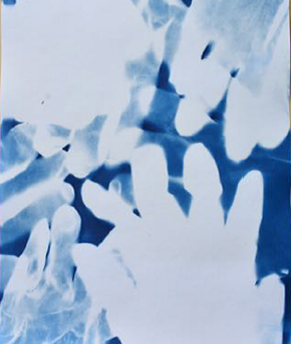 Atelier cyanotype
